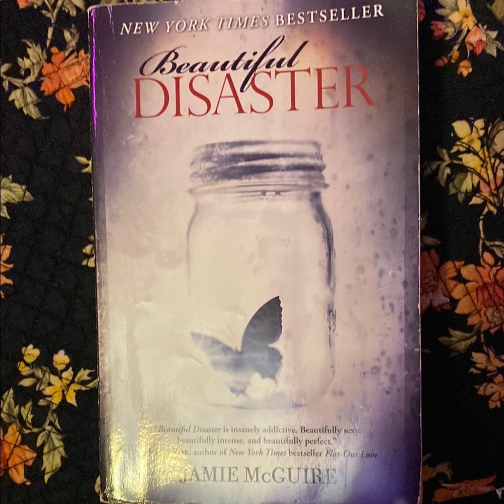 Beautiful Disaster Book by Jamie McGuire